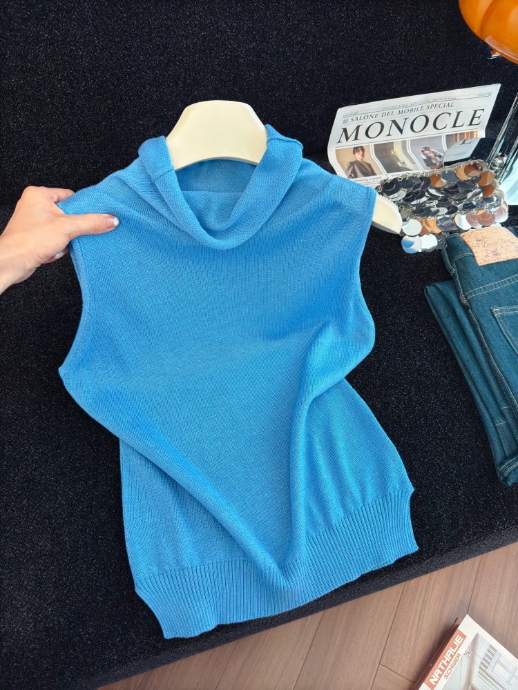Korean Style Slimming High Neck Knit Vest for Women Early Autumn New Simple Wearable Comfortable Top